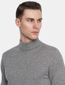 Grijze Sweater Heren Premium